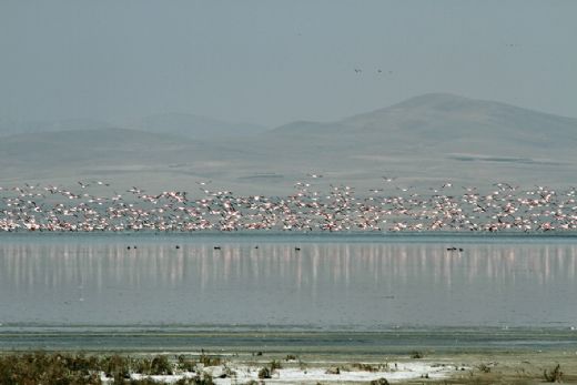 Akşehir Gölü